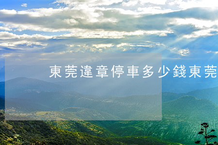 東莞違章停車多少錢(東莞交違章罰款去哪里)