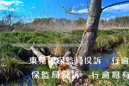 東莞銀保監局投訴強行逾期有用嗎-東莞銀保監局投訴強行逾期有用嗎知乎