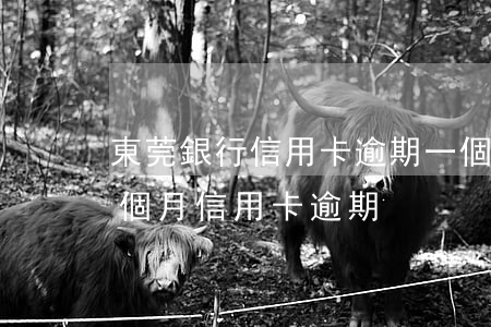 東莞銀行信用卡逾期一個月(連續(xù)兩個月信用卡逾期)
