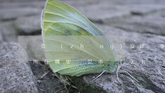 東莞長(zhǎng)安律師事務(wù)所在哪里(東莞市長(zhǎng)安律師事務(wù)所)