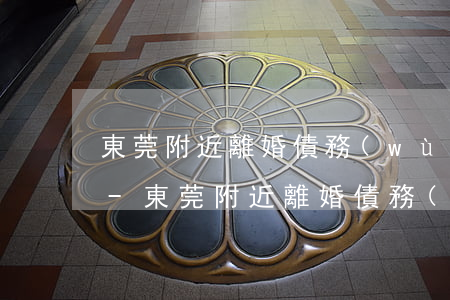 東莞附近離婚債務(wù)糾紛律師選哪個-東莞附近離婚債務(wù)糾紛律師選哪個公司