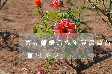 東莞離婚后幾年買房算首套(東莞買房第二套首付多少)