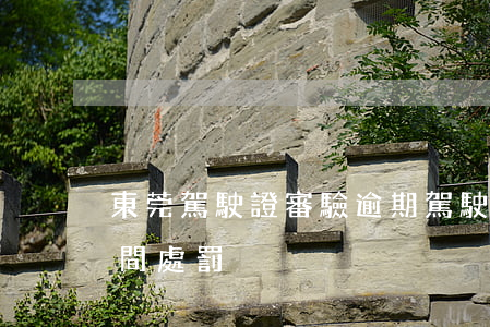 東莞駕駛證審驗逾期 駕駛證審驗過期多長時間處罰