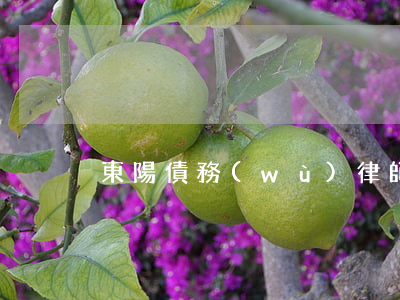 東陽債務(wù)律師多少錢(東陽欠款律師)