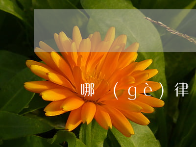 東陽哪個(gè)律師事務(wù)所好