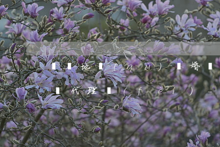 東陽地區(qū)離婚債務(wù)糾紛律師代理費(fèi)-東陽地區(qū)離婚債務(wù)糾紛律師代理費(fèi)多少