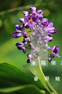 東陽開設(shè)賭場罪22號開庭(黑社會開賭場陳某判刑結(jié)果)
