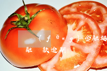 東風(fēng)金融起訴車貸逾期(汽車金融貸款逾期)