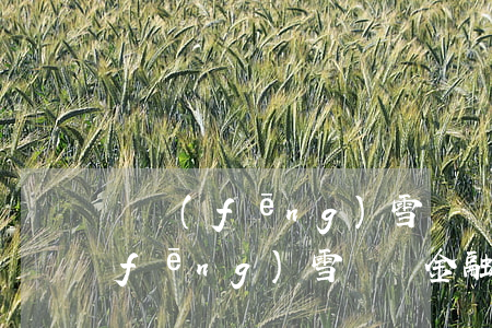 東風(fēng)雪鐵龍金融逾期了(東風(fēng)雪鐵龍金融公司)
