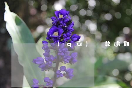 東風區(qū)貸款逾期糾紛律師