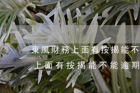 東風財務上面有按揭能不能逾期-東風財務上面有按揭能不能逾期貸款