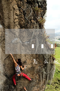 東麗區(qū)房產(chǎn)糾紛律師怎么起訴律所(東麗律師事務(wù)所哪家好)