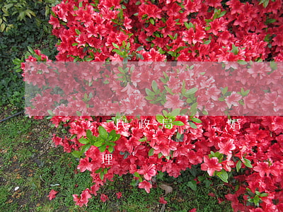 東麗民政局辦離婚時間(東麗區(qū)離婚辦理處)