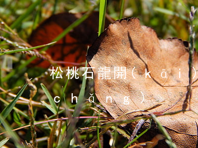 松桃石龍開(kāi)設(shè)賭場(chǎng)