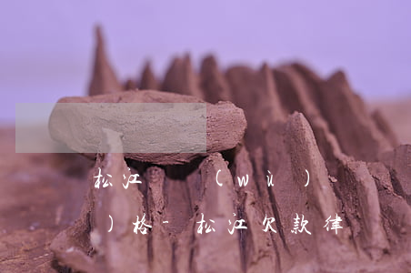 松江債務(wù)糾紛訴訟律師價(jià)格-松江欠款律師