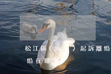 松江區(qū)起訴離婚在哪里(松江辦理離婚在哪里)