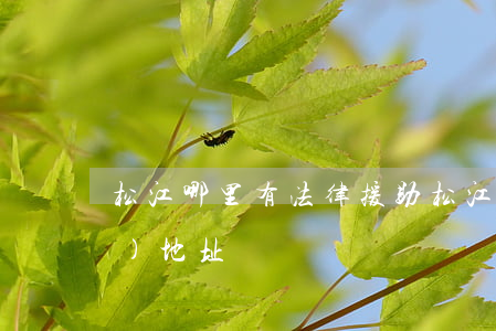 松江哪里有法律援助(松江律師咨詢(xún)地址)