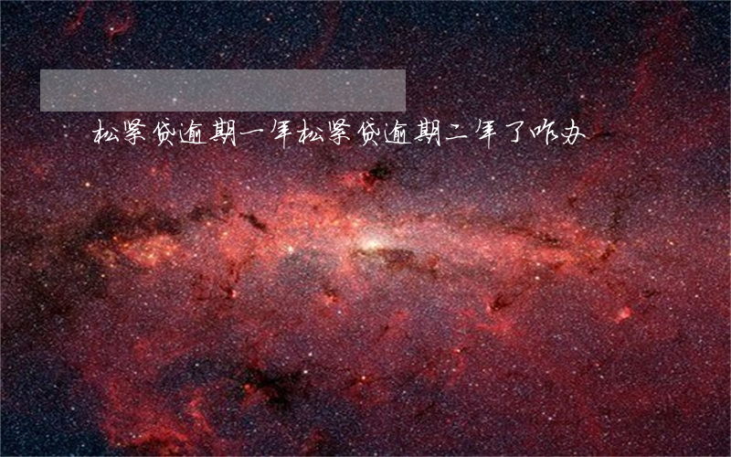松紧贷逾期一年（松紧贷逾期二年了咋办）
