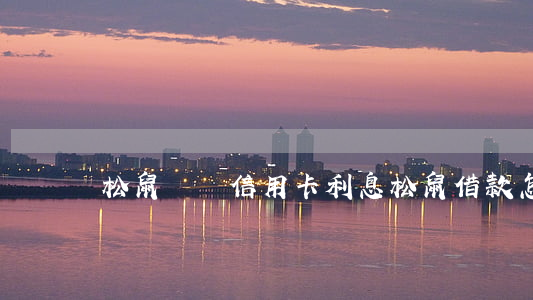 松鼠貸還信用卡利息(松鼠借款怎么樣)