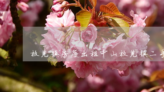 板芙镇房屋出租(中山板芙镇二手房)