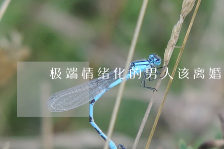 极端情绪化的男人该离婚吗(负面情绪的男人)