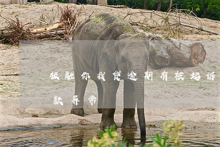 极融你我贷逾期有被起诉的吗 极融你我贷还款异常