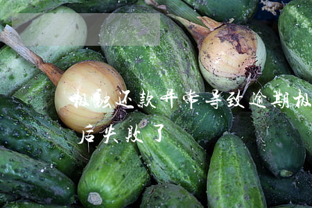 极融还款异常导致逾期(极融一直在放款中最后失败了)