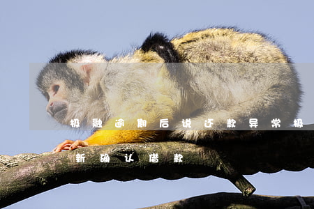 极融逾期后说还款异常(极融放款失败又要重新确认借款)