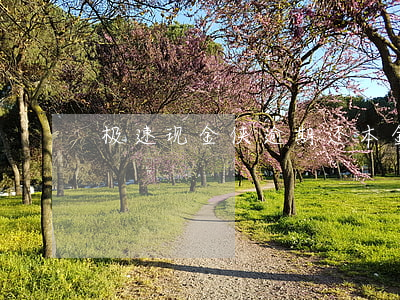 极速现金侠逾期还本金