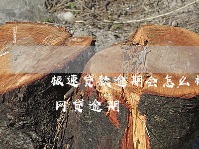 极速贷款逾期会怎么样(接到极速贷电话说我网贷逾期)