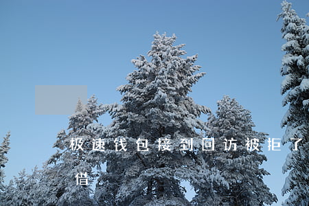 极速钱包接到回访被拒了（极速钱包逾期后再借）