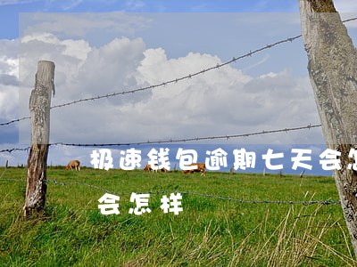 极速钱包逾期七天会怎样(极速钱包逾期七天会怎样)