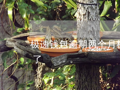 极速钱包逾期两个月(极速钱包接到回访被拒了)