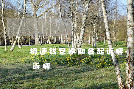 极速钱包逾期会起诉嘛-极速钱包逾期会起诉嘛