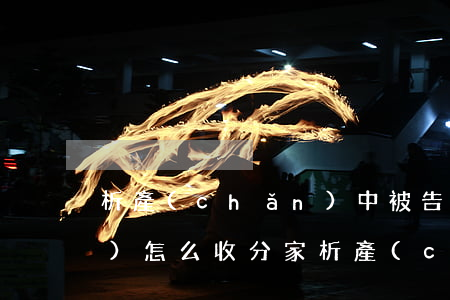 析產(chǎn)中被告的律師費(fèi)怎么收?(分家析產(chǎn)律師費(fèi)怎么收)