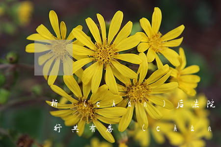 析產(chǎn)后法院可以執(zhí)行共有房產(chǎn)嗎(有房產(chǎn)糾紛的房子法院能執(zhí)行嗎)