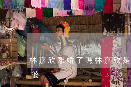 林嘉欣離婚了嗎(林嘉欣是誰(shuí)老婆)