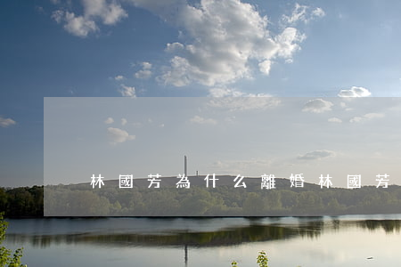 林國芳為什么離婚(林國芳是哪里人)
