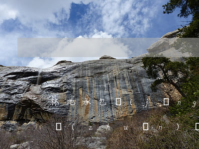 林地承包經(jīng)營權(quán)轉(zhuǎn)讓的條件是什么