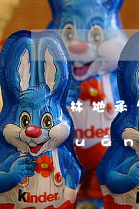 林地承包繼承需要什么(承包地有繼承權(quán)嗎)