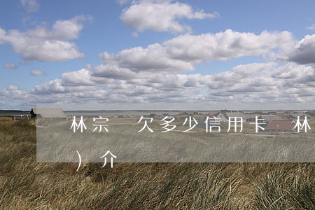 林宗燊欠多少信用卡錢 林宗輝簡(jiǎn)介