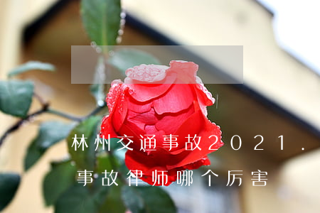 林州交通事故2021.2.24(林州交通事故律师哪个厉害)