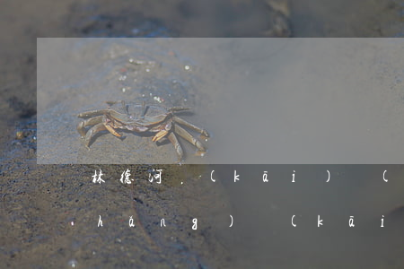 林德河開(kāi)設(shè)賭場(chǎng)(開(kāi)設(shè)賭場(chǎng)罪流水7個(gè)億)