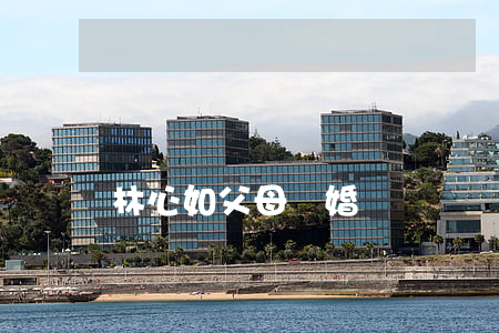 林心如父母離婚