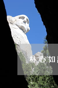 林心如離婚嗎