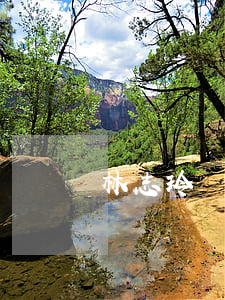 林志玲離婚(林志玲離了幾次婚)