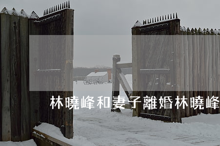 林曉峰和妻子離婚(林曉峰照片)