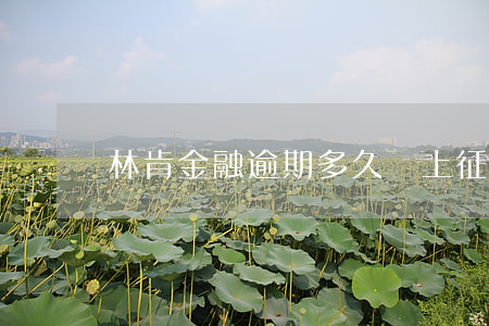 林肯金融逾期多久會上征信