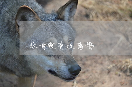 林青霞有没离婚