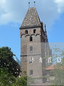 林青霞離婚原因